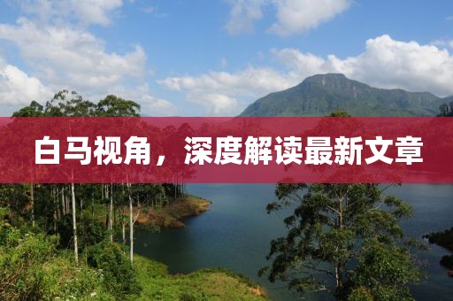 白馬視角，深度解讀最新文章