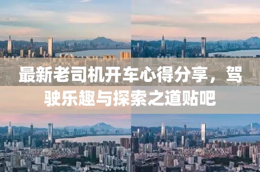最新老司機(jī)開(kāi)車心得分享，駕駛樂(lè)趣與探索之道貼吧