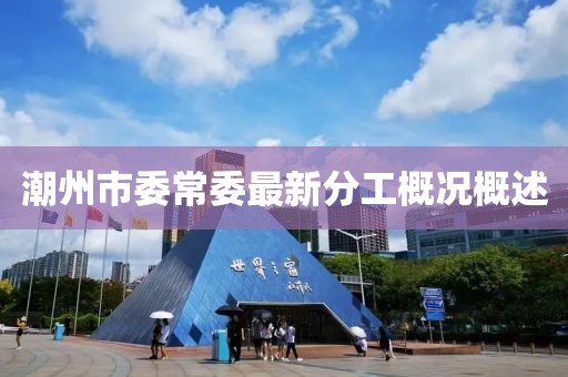 潮州市委常委最新分工概況概述