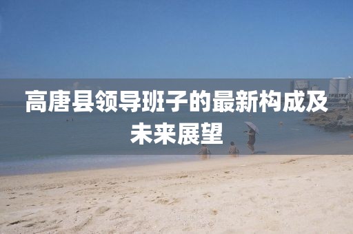 高唐縣領導班子的最新構成及未來展望