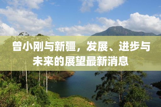 曾小剛與新疆，發(fā)展、進(jìn)步與未來的展望最新消息