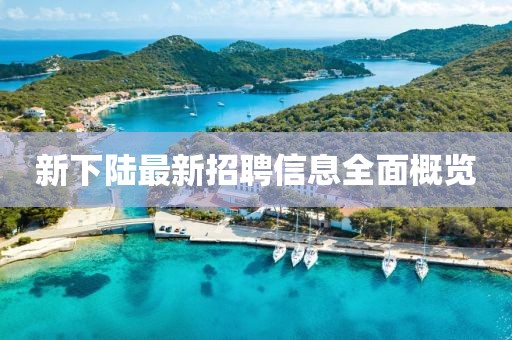 新下陸最新招聘信息全面概覽