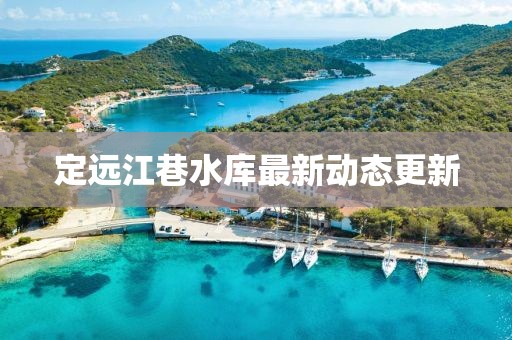 定遠(yuǎn)江巷水庫最新動態(tài)更新