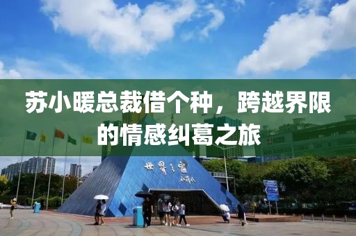 蘇小暖總裁借個種，跨越界限的情感糾葛之旅