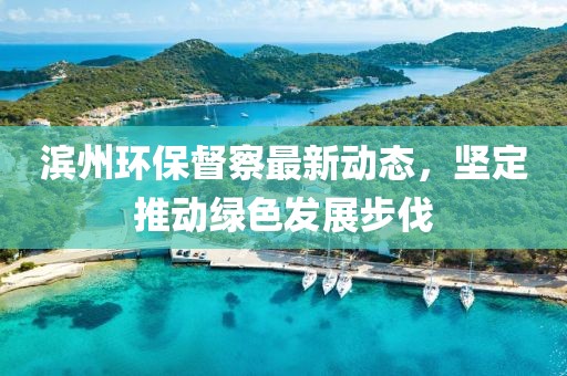 濱州環(huán)保督察最新動態(tài)，堅定推動綠色發(fā)展步伐