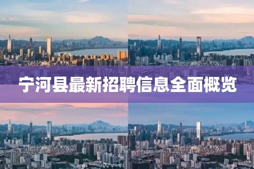 寧河縣最新招聘信息全面概覽