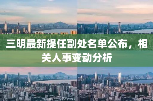 三明最新提任副處名單公布，相關(guān)人事變動(dòng)分析