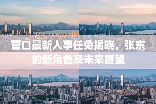 營(yíng)口最新人事任免揭曉，張東的新角色及未來(lái)展望