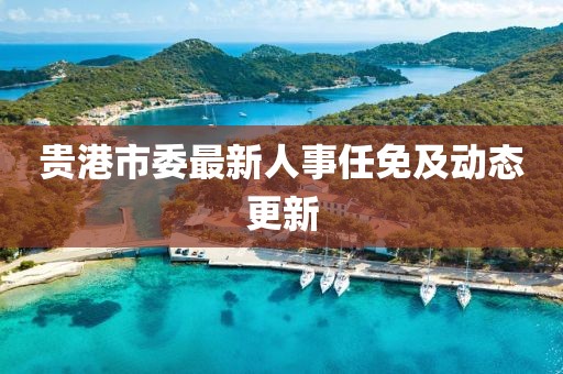 貴港市委最新人事任免及動(dòng)態(tài)更新