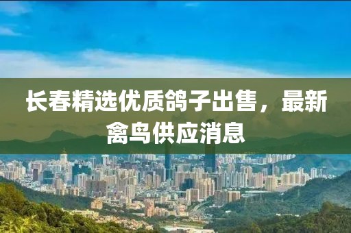 長春精選優(yōu)質(zhì)鴿子出售，最新禽鳥供應(yīng)消息