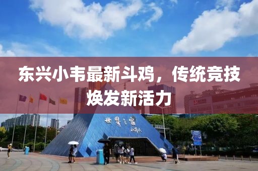 東興小韋最新斗雞，傳統(tǒng)競技煥發(fā)新活力