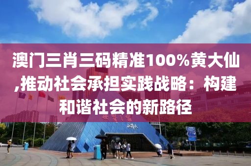 澳門三肖三碼精準(zhǔn)100%黃大仙,推動(dòng)社會(huì)承擔(dān)實(shí)踐戰(zhàn)略：構(gòu)建和諧社會(huì)的新路徑