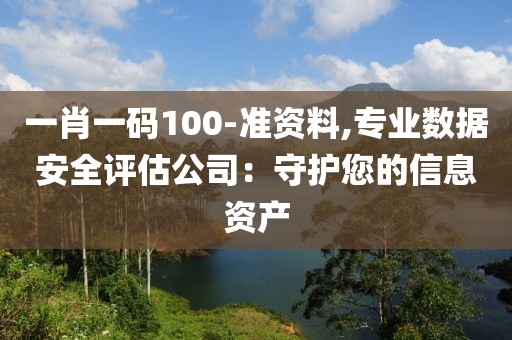 一肖一碼100-準資料,專業(yè)數(shù)據(jù)安全評估公司：守護您的信息資產(chǎn)