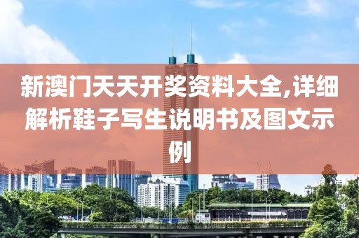 新澳門天天開獎(jiǎng)資料大全,詳細(xì)解析鞋子寫生說(shuō)明書及圖文示例