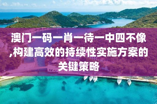 澳門一碼一肖一待一中四不像,構(gòu)建高效的持續(xù)性實(shí)施方案的關(guān)鍵策略