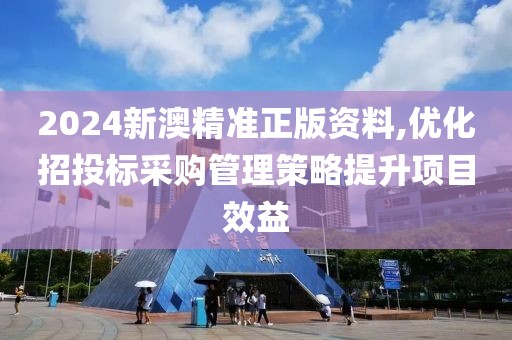 2024新澳精準正版資料,優(yōu)化招投標采購管理策略提升項目效益