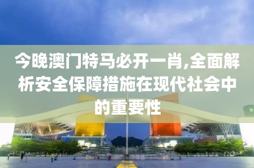 今晚澳門特馬必開一肖,全面解析安全保障措施在現(xiàn)代社會中的重要性