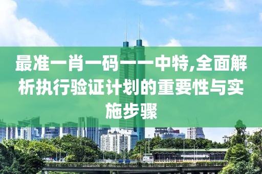 最準(zhǔn)一肖一碼一一中特,全面解析執(zhí)行驗(yàn)證計(jì)劃的重要性與實(shí)施步驟