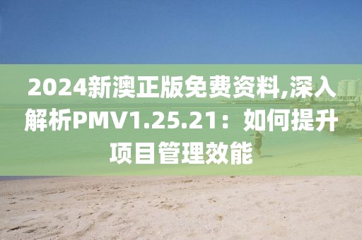 2024新澳正版免費資料,深入解析PMV1.25.21：如何提升項目管理效能