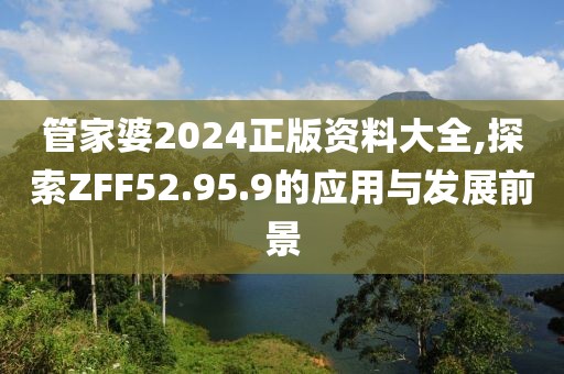 管家婆2024正版資料大全,探索ZFF52.95.9的應(yīng)用與發(fā)展前景