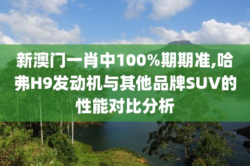 新澳門一肖中100%期期準(zhǔn),哈弗H9發(fā)動(dòng)機(jī)與其他品牌SUV的性能對(duì)比分析