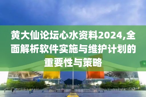 黃大仙論壇心水資料2024,全面解析軟件實施與維護(hù)計劃的重要性與策略