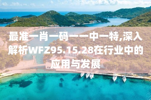 最準(zhǔn)一肖一碼一一中一特,深入解析WFZ95.15.28在行業(yè)中的應(yīng)用與發(fā)展