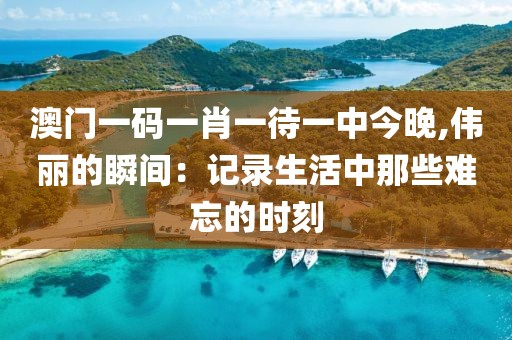 澳門一碼一肖一待一中今晚,偉麗的瞬間：記錄生活中那些難忘的時(shí)刻