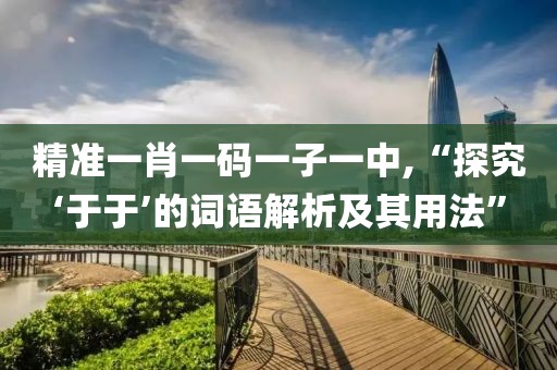 精準(zhǔn)一肖一碼一子一中,“探究‘于于’的詞語解析及其用法”