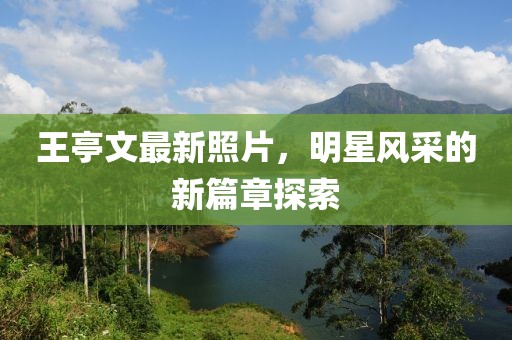王亭文最新照片，明星風(fēng)采的新篇章探索