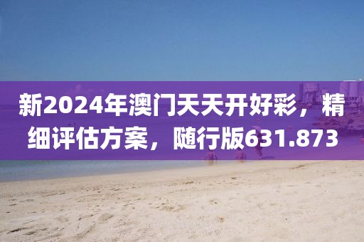新2024年澳門(mén)天天開(kāi)好彩，精細(xì)評(píng)估方案，隨行版631.873