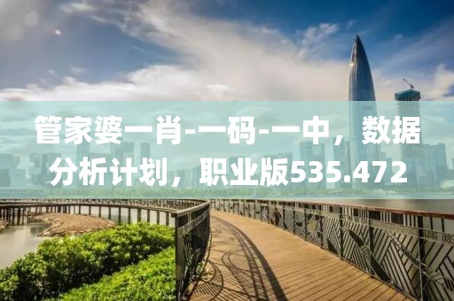 管家婆一肖-一碼-一中，數(shù)據(jù)分析計(jì)劃，職業(yè)版535.472