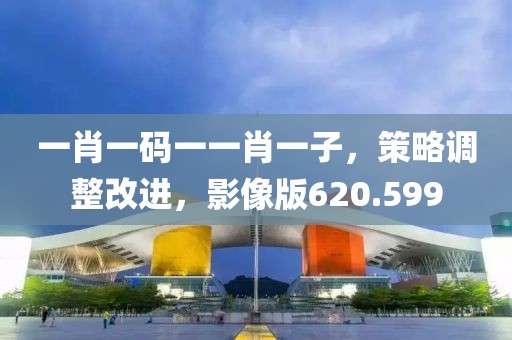 一肖一碼一一肖一子，策略調(diào)整改進，影像版620.599