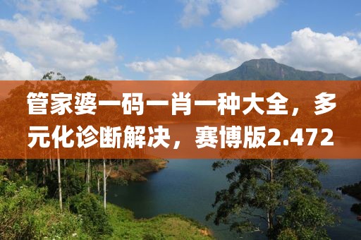 管家婆一碼一肖一種大全，多元化診斷解決，賽博版2.472