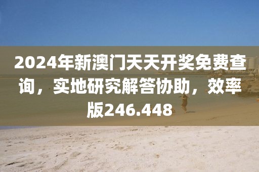 2024年新澳門天天開獎免費查詢，實地研究解答協(xié)助，效率版246.448