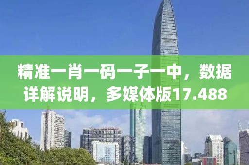 精準一肖一碼一子一中，數據詳解說明，多媒體版17.488