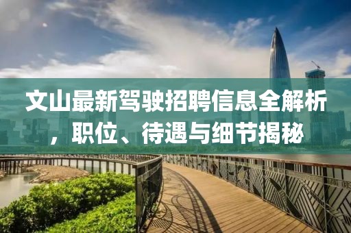 文山最新駕駛招聘信息全解析，職位、待遇與細(xì)節(jié)揭秘
