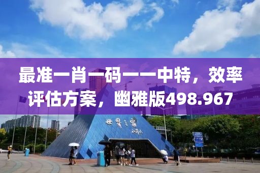 最準(zhǔn)一肖一碼一一中特，效率評估方案，幽雅版498.967