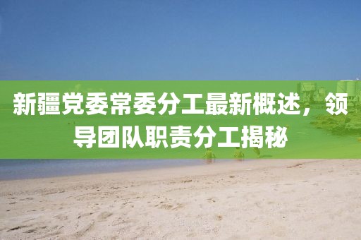 新疆黨委常委分工最新概述，領(lǐng)導(dǎo)團(tuán)隊(duì)職責(zé)分工揭秘