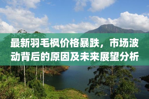 最新羽毛楓價格暴跌，市場波動背后的原因及未來展望分析
