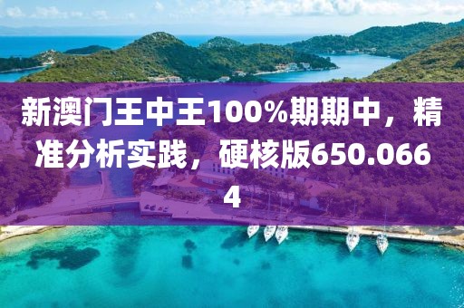 新澳門王中王100%期期中，精準(zhǔn)分析實踐，硬核版650.0664