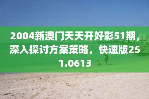 2004新澳門(mén)天天開(kāi)好彩51期，深入探討方案策略，快速版251.0613