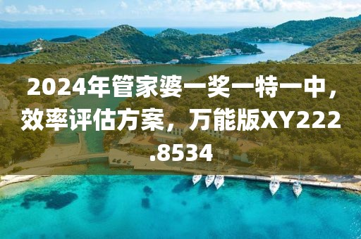 2024年管家婆一獎(jiǎng)一特一中，效率評(píng)估方案，萬能版XY222.8534