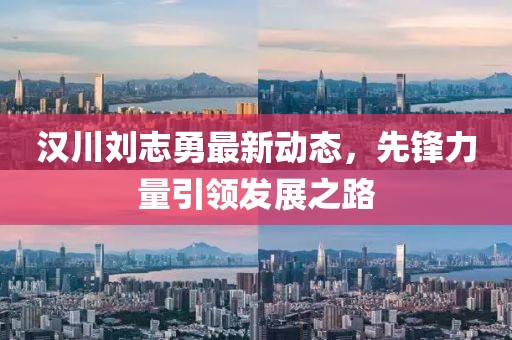 漢川劉志勇最新動(dòng)態(tài)，先鋒力量引領(lǐng)發(fā)展之路