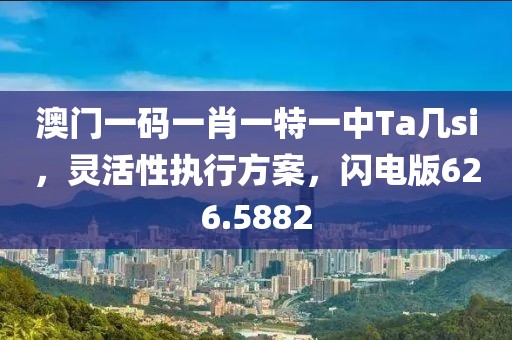 澳門(mén)一碼一肖一特一中Ta幾si，靈活性執(zhí)行方案，閃電版626.5882