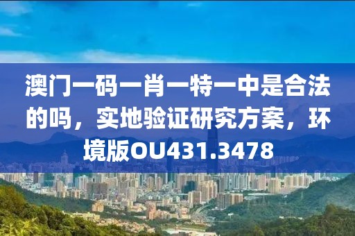 澳門(mén)一碼一肖一特一中是合法的嗎，實(shí)地驗(yàn)證研究方案，環(huán)境版OU431.3478
