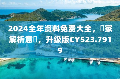2024全年資料免費大全，專家解析意見，升級版CY523.7919