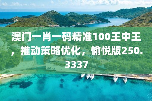 澳門一肖一碼精準(zhǔn)100王中王，推動(dòng)策略優(yōu)化，愉悅版250.3337