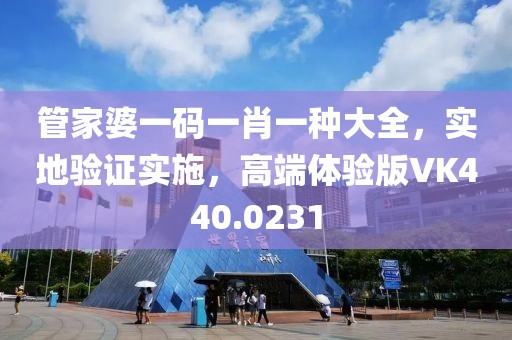管家婆一碼一肖一種大全，實地驗證實施，高端體驗版VK440.0231