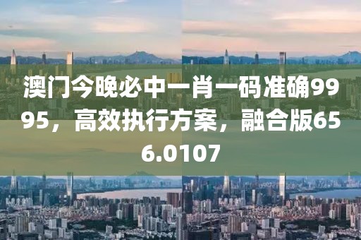 澳門今晚必中一肖一碼準(zhǔn)確9995，高效執(zhí)行方案，融合版656.0107